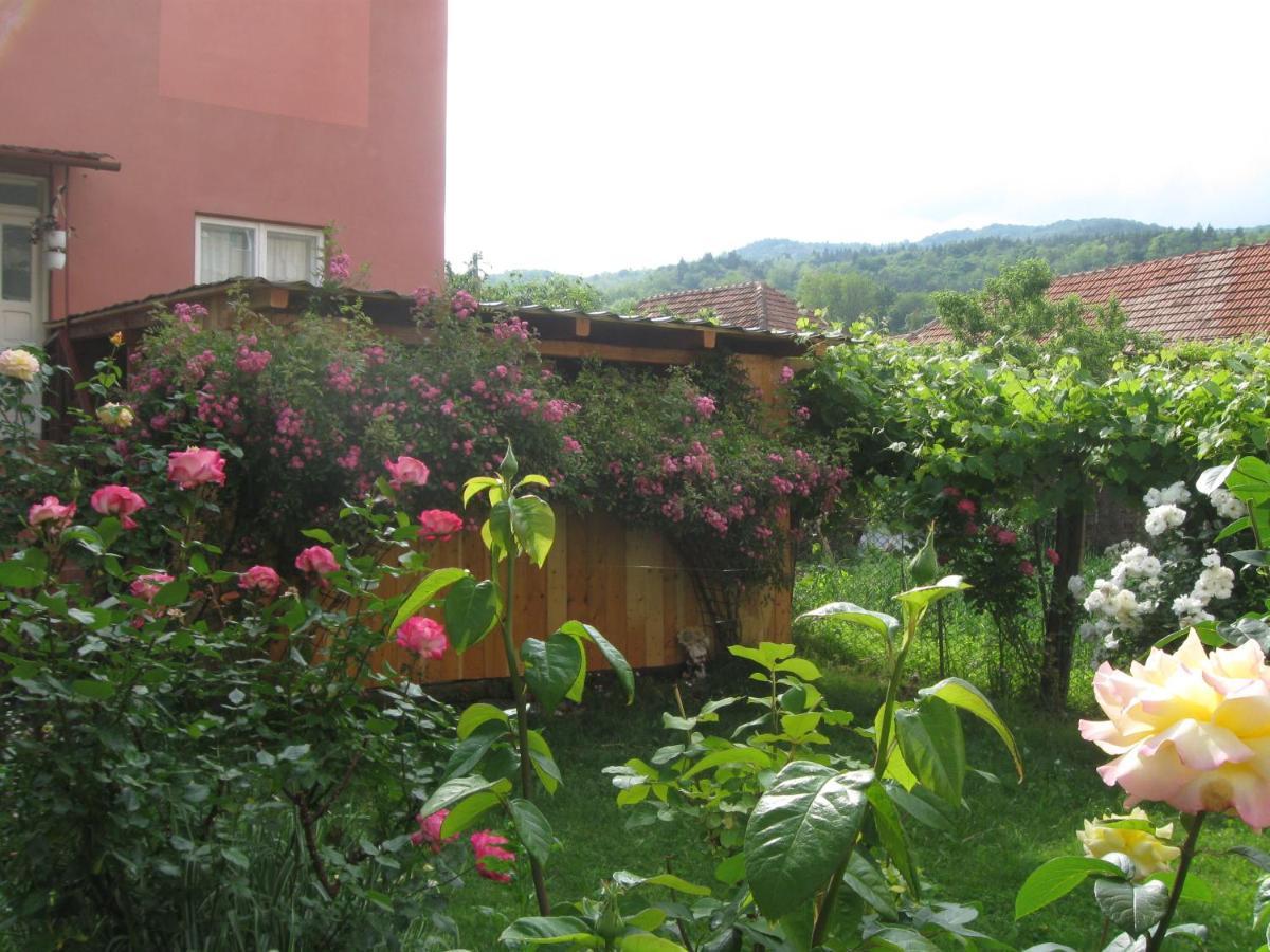 Casa Fabrizio Otel Călimăneşti Dış mekan fotoğraf