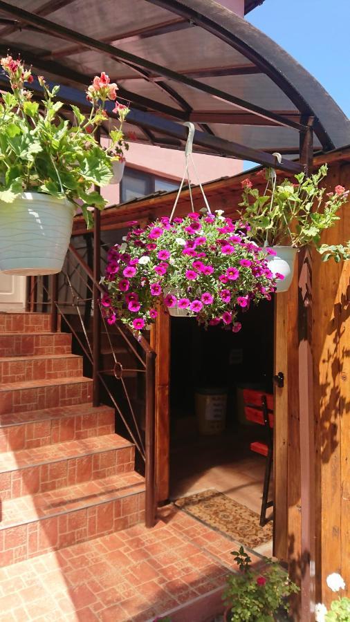 Casa Fabrizio Otel Călimăneşti Dış mekan fotoğraf