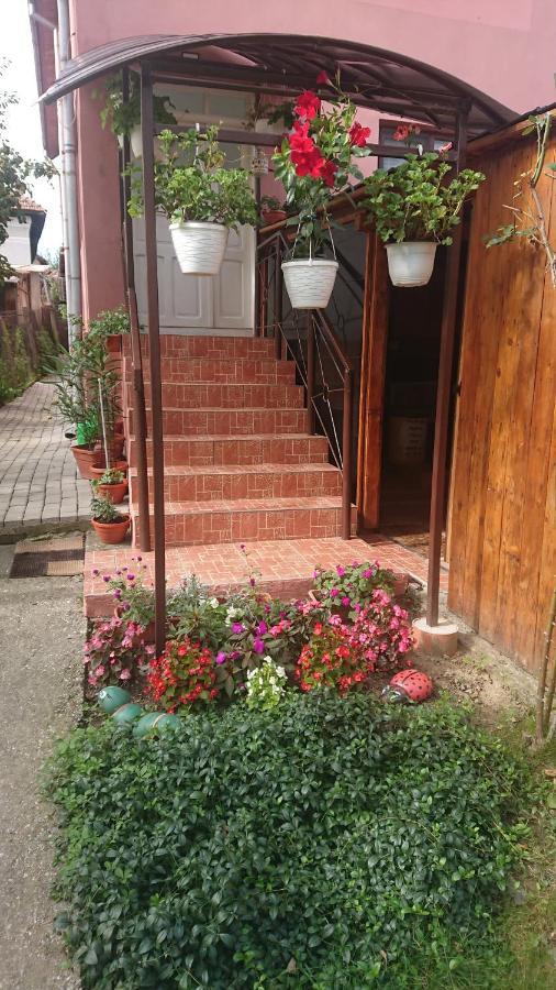 Casa Fabrizio Otel Călimăneşti Dış mekan fotoğraf