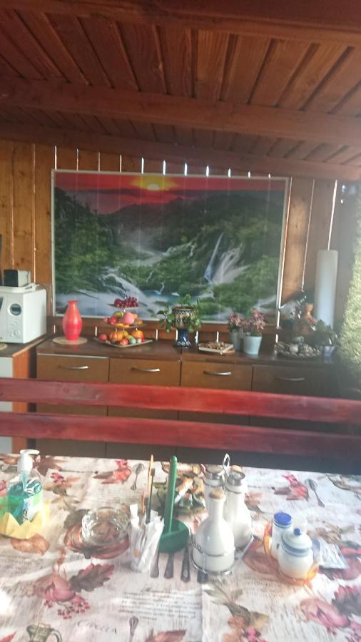 Casa Fabrizio Otel Călimăneşti Dış mekan fotoğraf