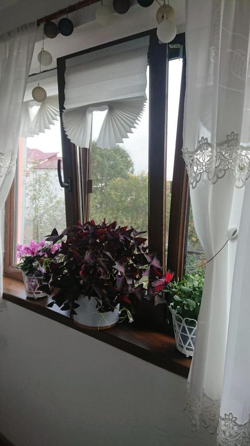 Casa Fabrizio Otel Călimăneşti Dış mekan fotoğraf