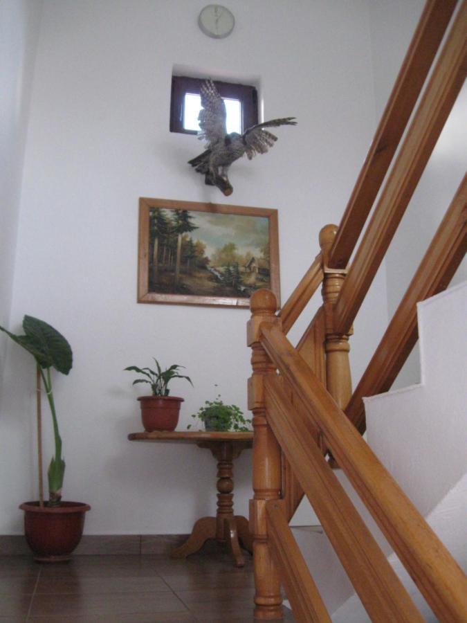Casa Fabrizio Otel Călimăneşti Dış mekan fotoğraf